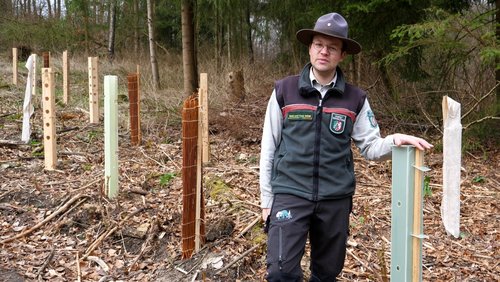 Die Ranger Story: Baumschutzhüllen im Bielefelder Schulwald