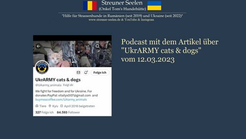Streuner Seelen: "UkrARMY cats & dogs", Tierschutz im Ukraine-Krieg