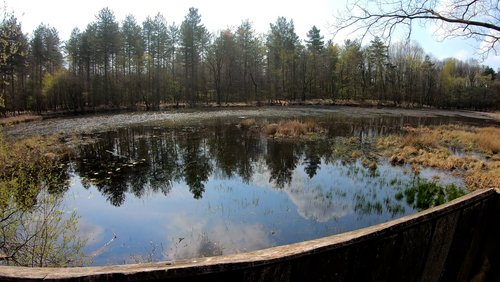 Mark geht wandern: Naturschutzgebiet Brinksknapp - Der versteckte See im Wald