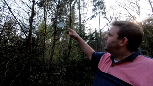 Mark geht wandern: Birkenwasser in der Natur zapfen
