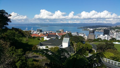 Reiseblog ohne Bilder: Roadtrip auf Neuseelands Nordinsel - von Taupo nach Wellington