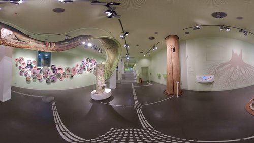 Wildnis(t)räume - Ausstellung im Nationalpark Eifel