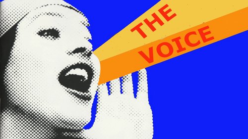 The Voice: Wir brauchen Bass