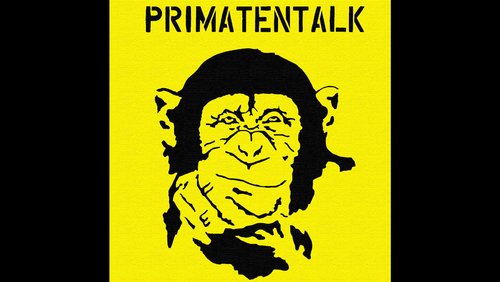 Primatentalk: Das kleine ABC(DE) des Polytraumas