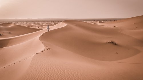 Kultstatus-Jukebox: Desert Blues - Musik aus der Sahara