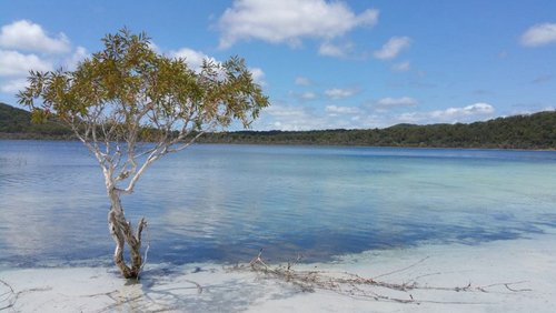 Reiseblog ohne Bilder: Fraser Island, Australien