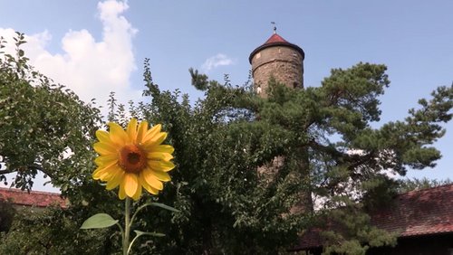 Pittoresk – Gartenparadiese in Rothenburg ob der Tauber