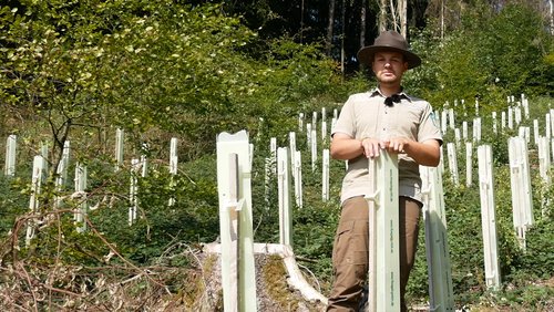 Die Ranger Story: Schutzhüllen für junge Bäume