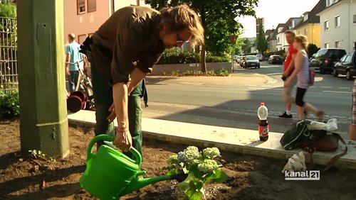 Palette - das Stadtmagazin: Urban Gardening in Bielefeld, ConnAct Global, Poetry All Stars