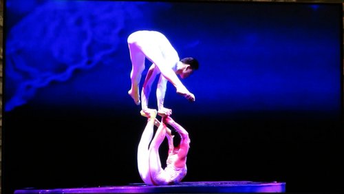 BergTV: 10. Kölner Weihnachtscircus