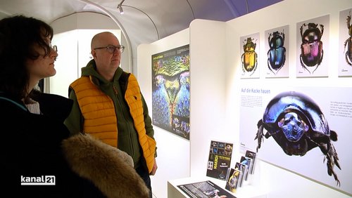 Große Bilder von kleinen Motiven - Fotoausstellung mikroMAKRO