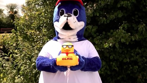 SÄLZER.TV: Waschbär-Ehrenpreis, Discgolf-Parcours und Winterball