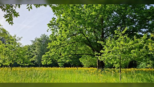 Die Nabel-Show: Der Pfingstochse, der Osterhase und der Kastrationsbiber