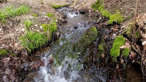 WanderBlog: "Naturpfad Weltende" in Stein-Wingert