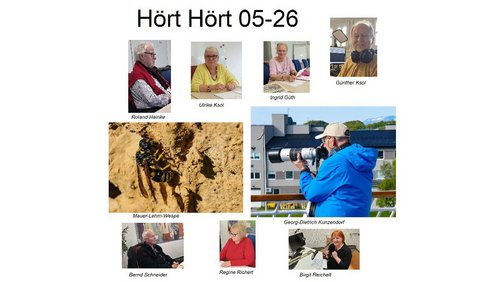 Hört Hört: Franz von Assisi, Fotografie, Brötchenkauf