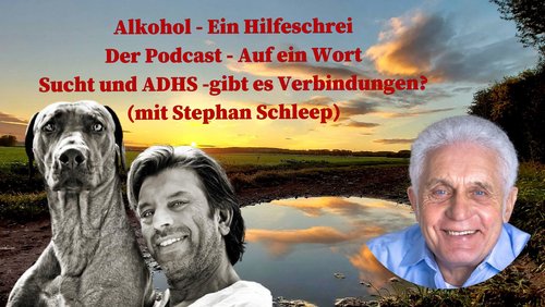 Alkohol – Ein Hilfeschrei, Ratgeber und mehr: Sucht und ADHS - Stephan Schleep