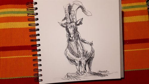 Die Nabel-Show: Diese lästigen Rot-Phasen!