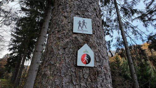 WanderBlog: Braubachtal-Tour