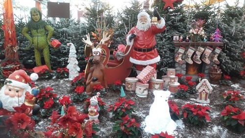 Do biste platt 861: Vorfreude auf Weihnachten (Teil 2)