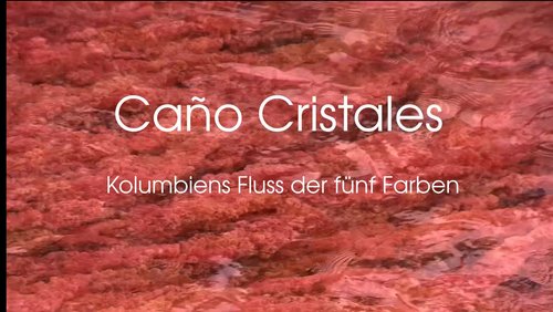 Caño Cristales - Kolumbiens Fluss der fünf Farben