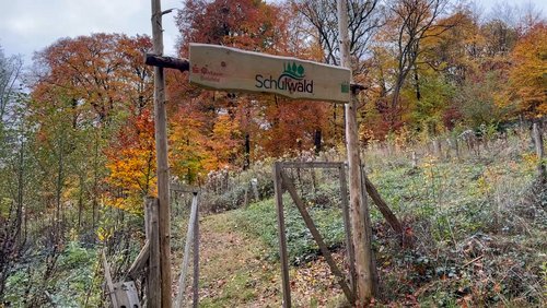 Die Ranger Story: Herbst im Schulwald