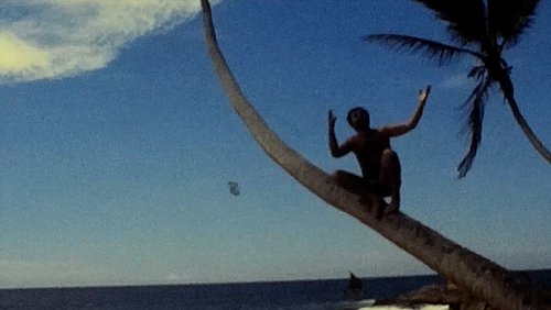 Eine Insel für mich allein