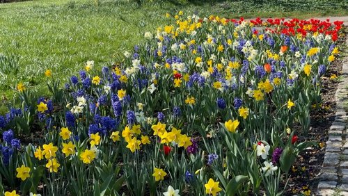 Musik aus Studio Pi - Spring Power