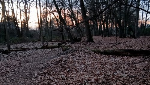 Bocholt im Januar 2026