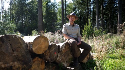 Die Ranger Story: Die Douglasie