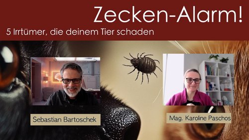 Zecken-Alarm - Fünf Irrtümer schaden deinem Haustier! (Und was wirklich hilft.)