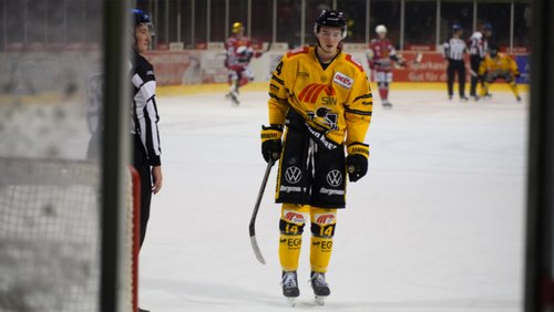 Crosscheck: DEL2-Playoffs 2024, Saisonende 2023/24