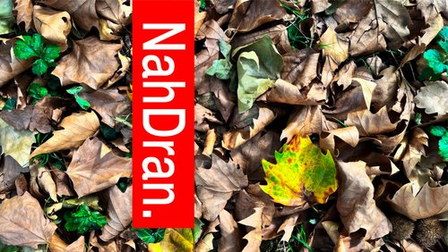 NahDran: "tu:bie-Mobil" und Stadtteilentwicklung in Ummeln, Verkehrswende in Bielefeld, Herbst