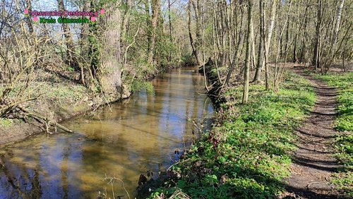  Naturerlebnis in Versmold: Unterwegs auf dem Drei Bäche Pfad