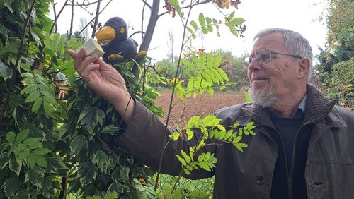 Fabel - Merkmale, Dichter, Beispiele