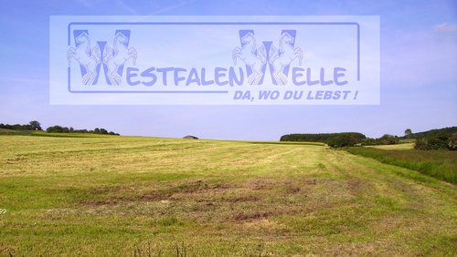 Do biste platt 840: Sumer in Westfaolen (Sommer in Westfalen)