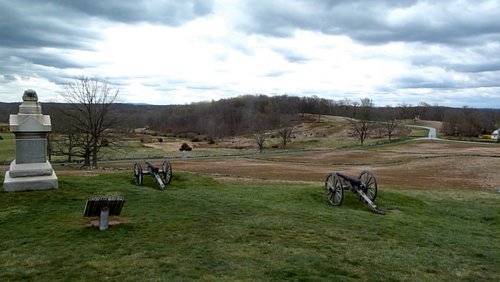 MNSTR.TV: 250 Jahre USA, Deutsche Geschichte in Amerika, Kühe