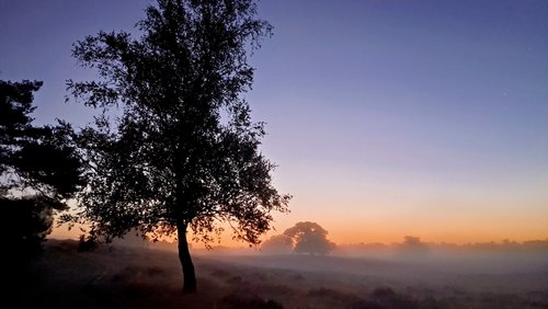 Westruper Heide in den Morgenstunden