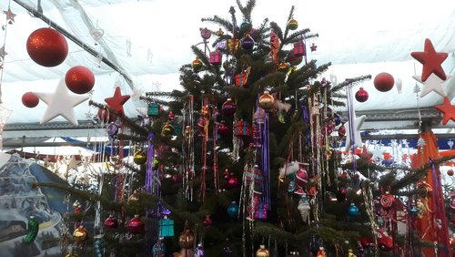 Do biste platt 862: Vorfreude auf Weihnachten (Teil 3)