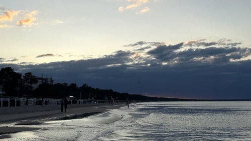 Platte für die Insel: Paula Hartmann - "Nie verliebt"