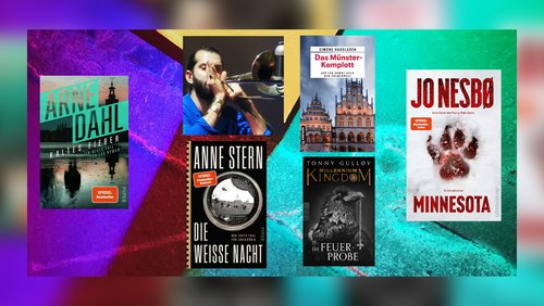 Der LeseWurm: "Das Münster-Komplott", "Die weiße Nacht", "Minnesota"