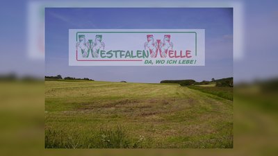 Do biste platt 876: Näu meer beschlan' Buren (Noch mehr Bauernschläue) episode artwork