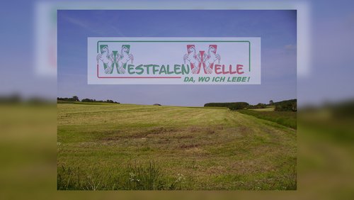 Do biste platt 876: Näu meer beschlan' Buren (Noch mehr Bauernschläue)