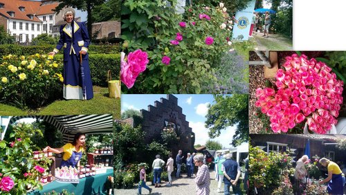 Alles über die Königin der Blumen