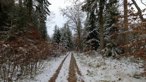 WanderBlog: Die Decke Tönnes im Schnee