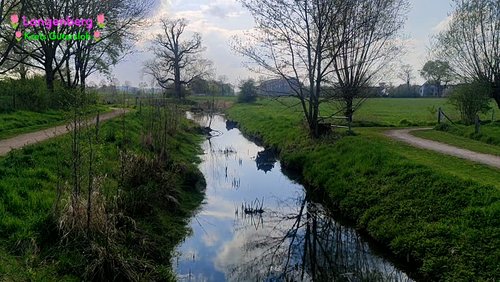 Spaziergang am Forthbachweg in Langenberg