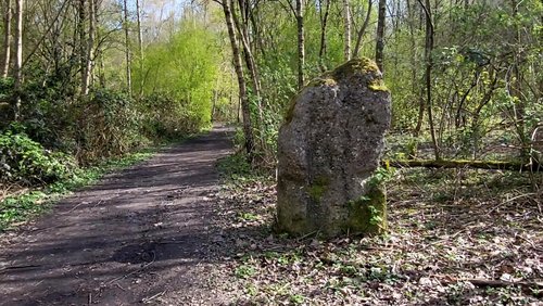 Schönes Gelsenkirchen - Der Skulpturenwald an der Halde Rheinelbe