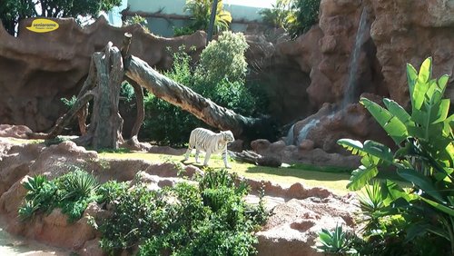 seniorama: Nordsee und Teneriffa