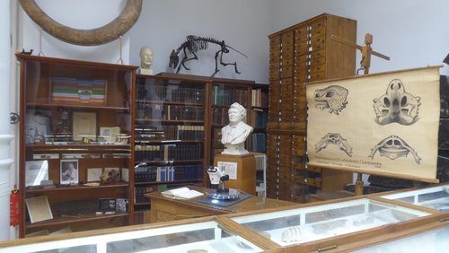 Hier und Jetzt: Das Doppelgrab von Oberkassel, unser bester Freund - der Hund, Paläokunst