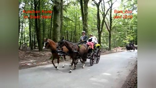 Kutschenkorso 2010 im Stadtwald Bocholt