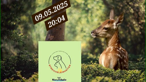 Streicheleinheiten: Rehkitz- & Wildtierrettung Mönchengladbach
